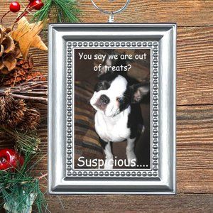 Boston Terrier Puppy Dog Funny Christmas Tree‎ Ornament
